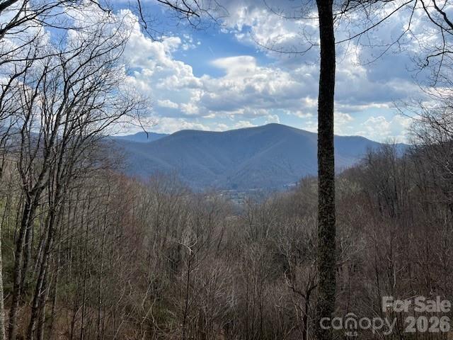 399 Bent Tree Road Maggie Valley NC 28751