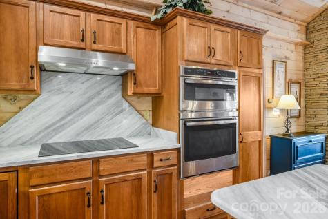 234 Upper Lookout Drive Mars Hill NC 28754