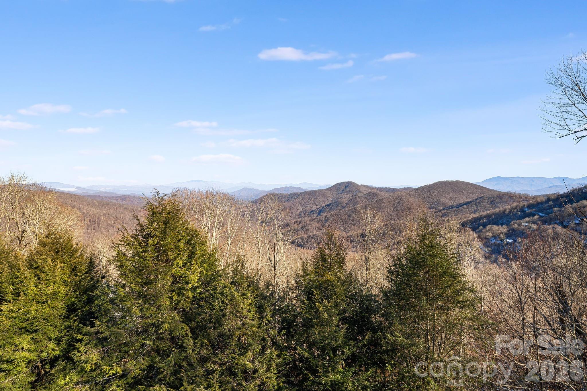 234 Upper Lookout Drive Mars Hill NC 28754