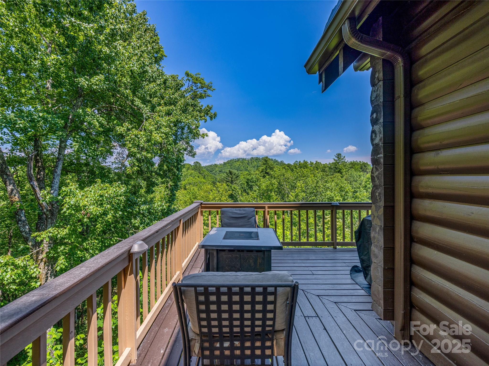 220 Circle Pines Drive Rosman NC 28772