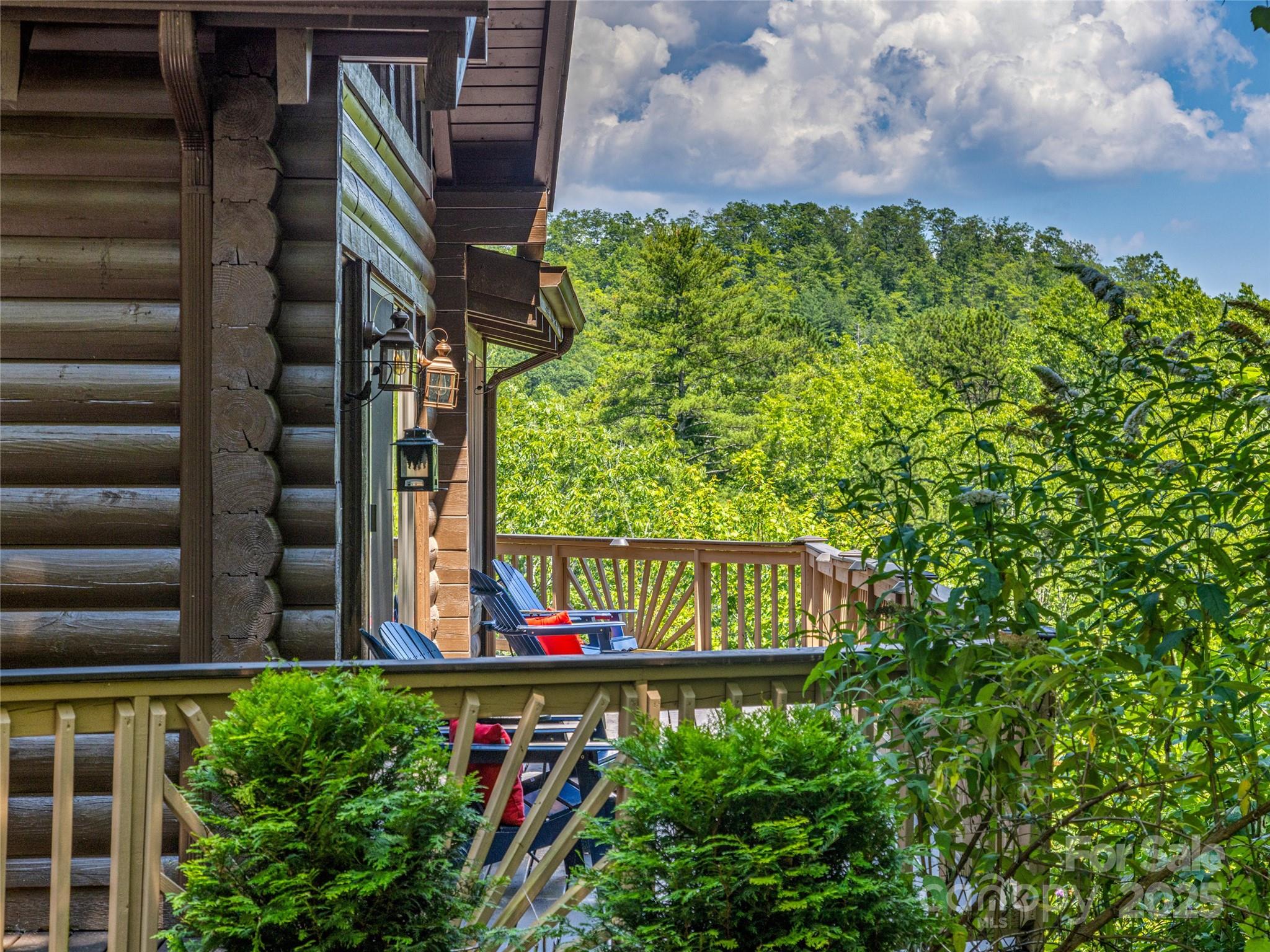 220 Circle Pines Drive Rosman NC 28772