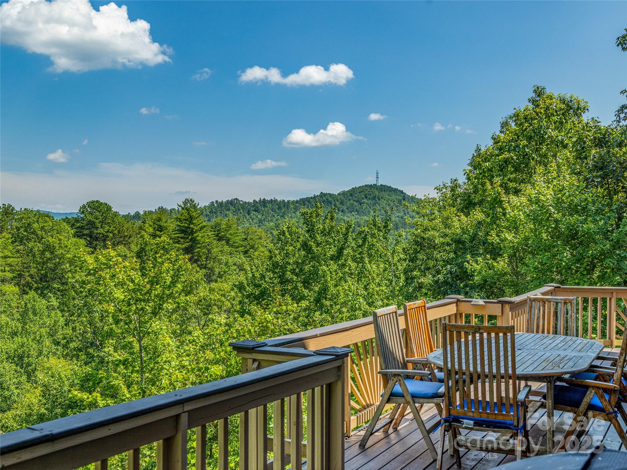 220 Circle Pines Drive Rosman NC 28772