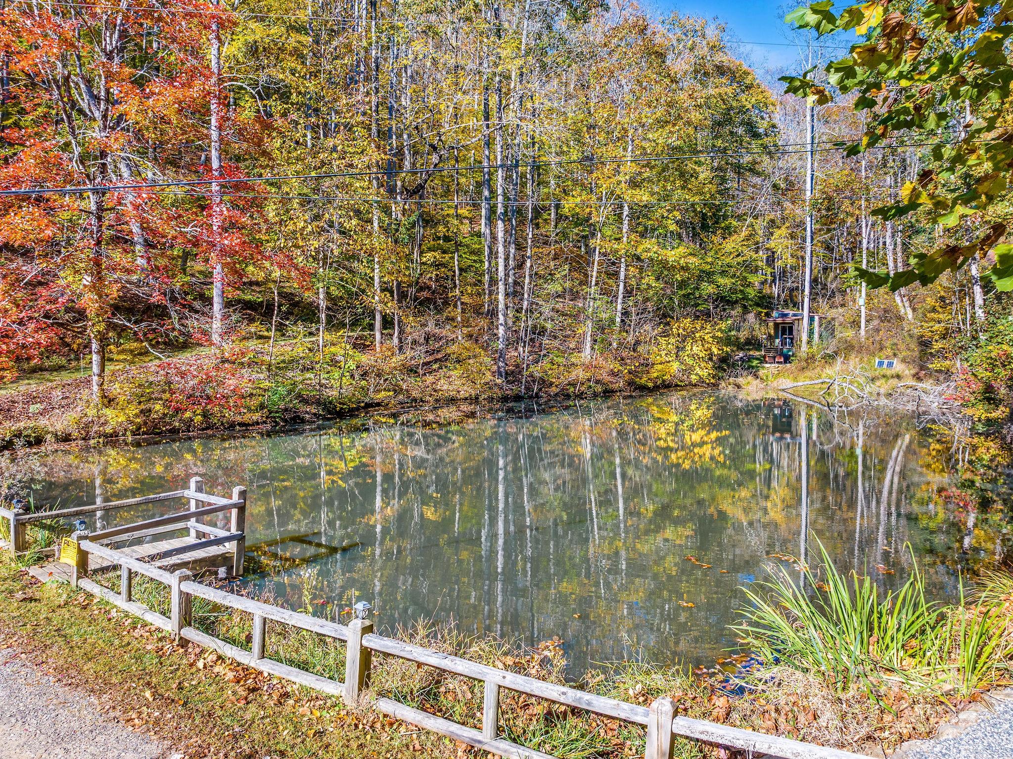 226 Fish Pond Lane Burnsville NC 28714