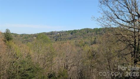 163 Old Poplar Lane Flat Rock NC 28731