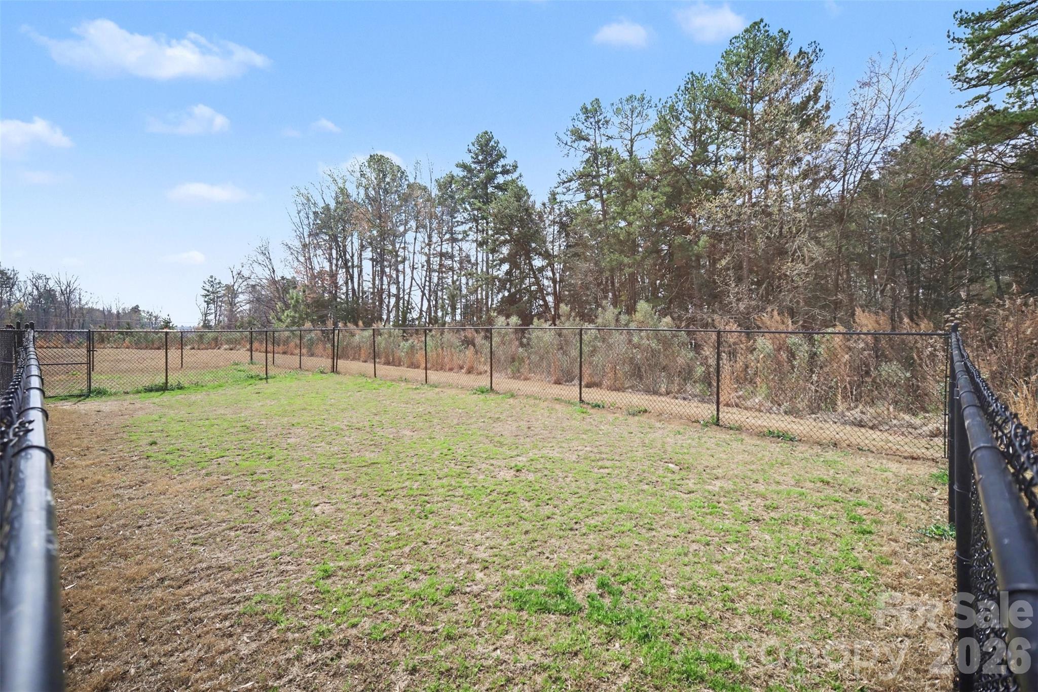 1211 May Apple Drive Matthews NC 28104