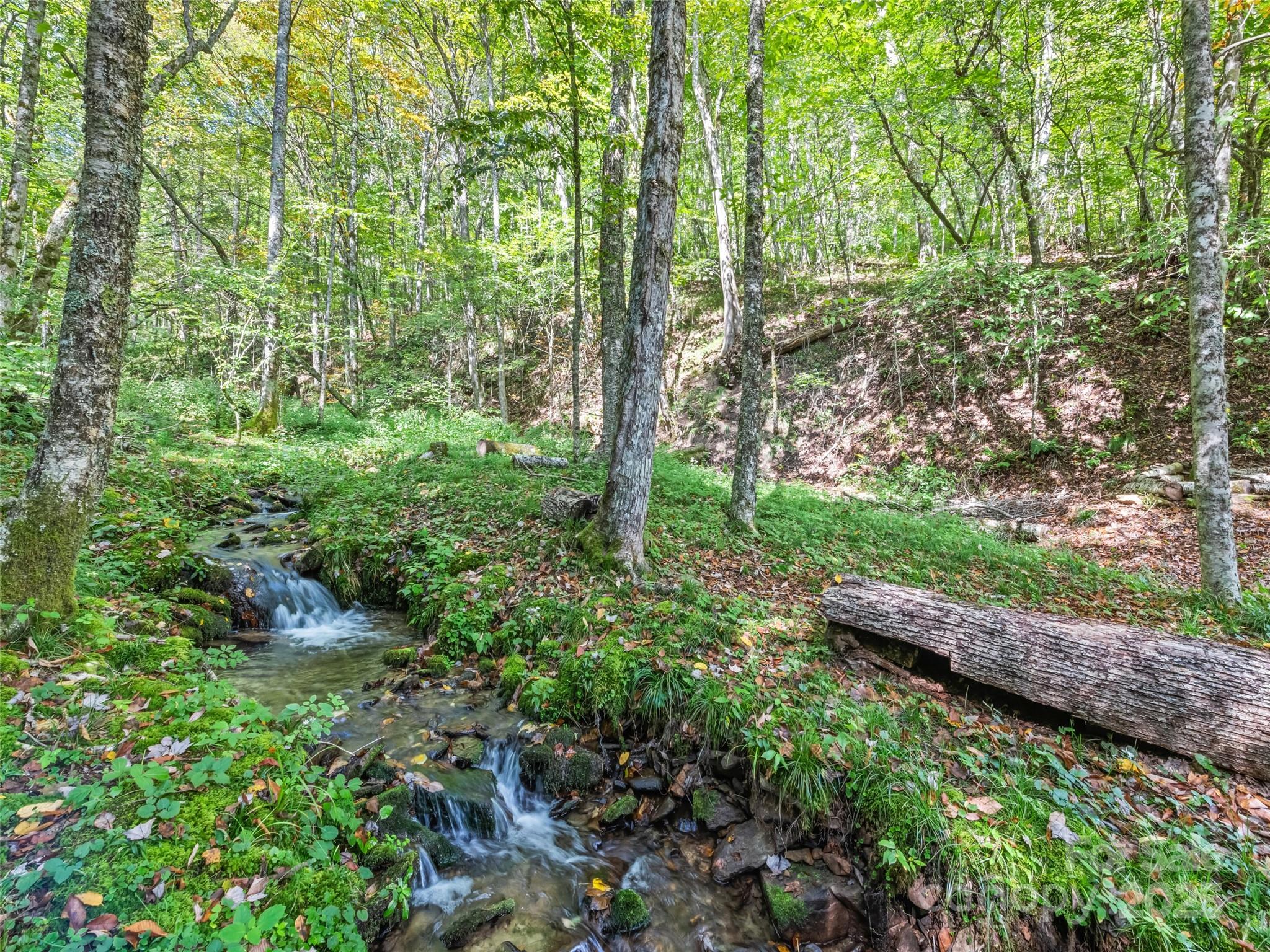 839 Wolf Laurel Drive Maggie Valley NC 28751