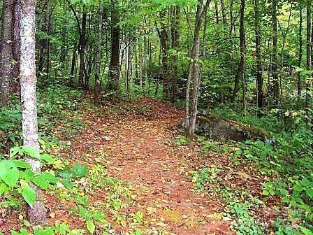 31 Whispering Falls Court Tuckasegee NC 28783