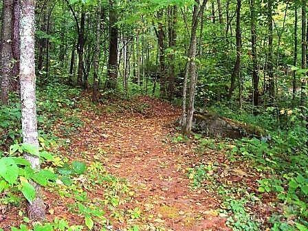 31 Whispering Falls Court Tuckasegee NC 28783
