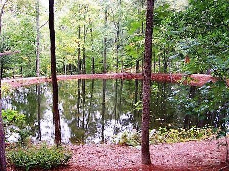 31 Whispering Falls Court Tuckasegee NC 28783