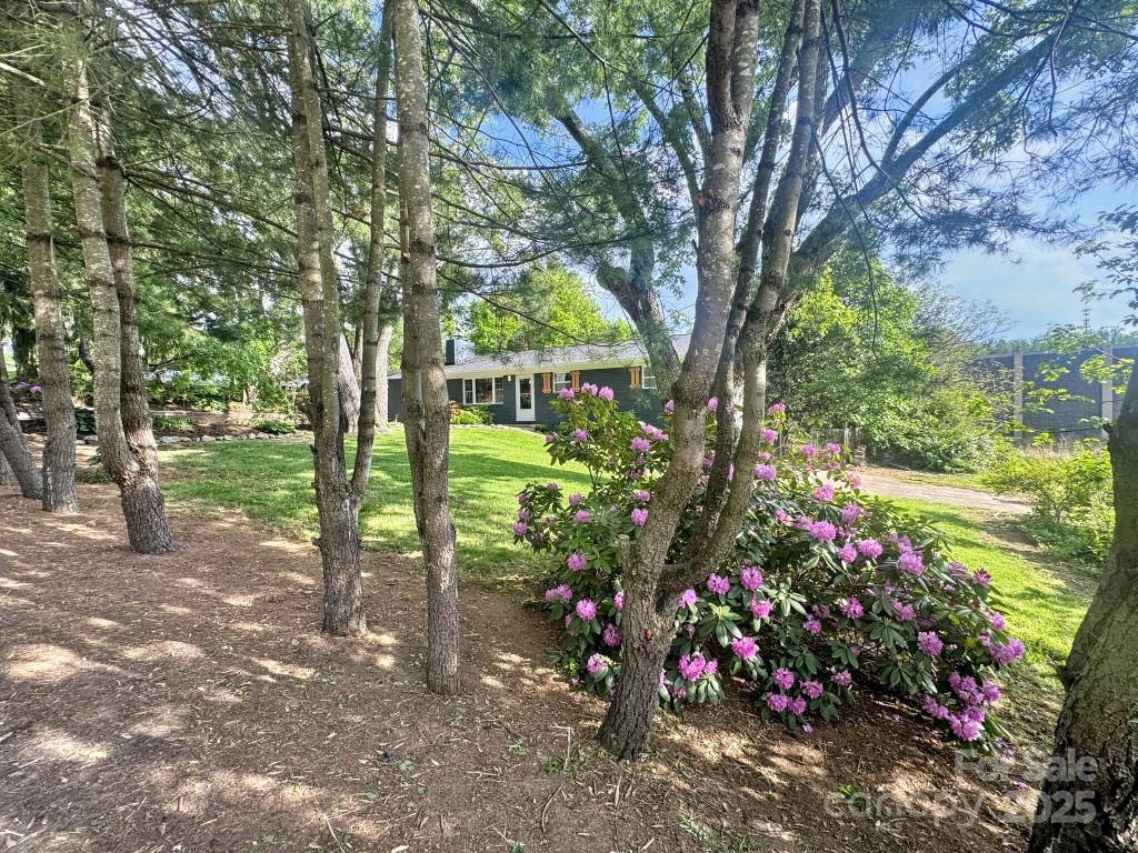 28 Pine Lane Asheville NC 28806