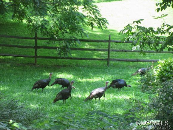 48 Wolfe Cove Road Asheville NC 28804