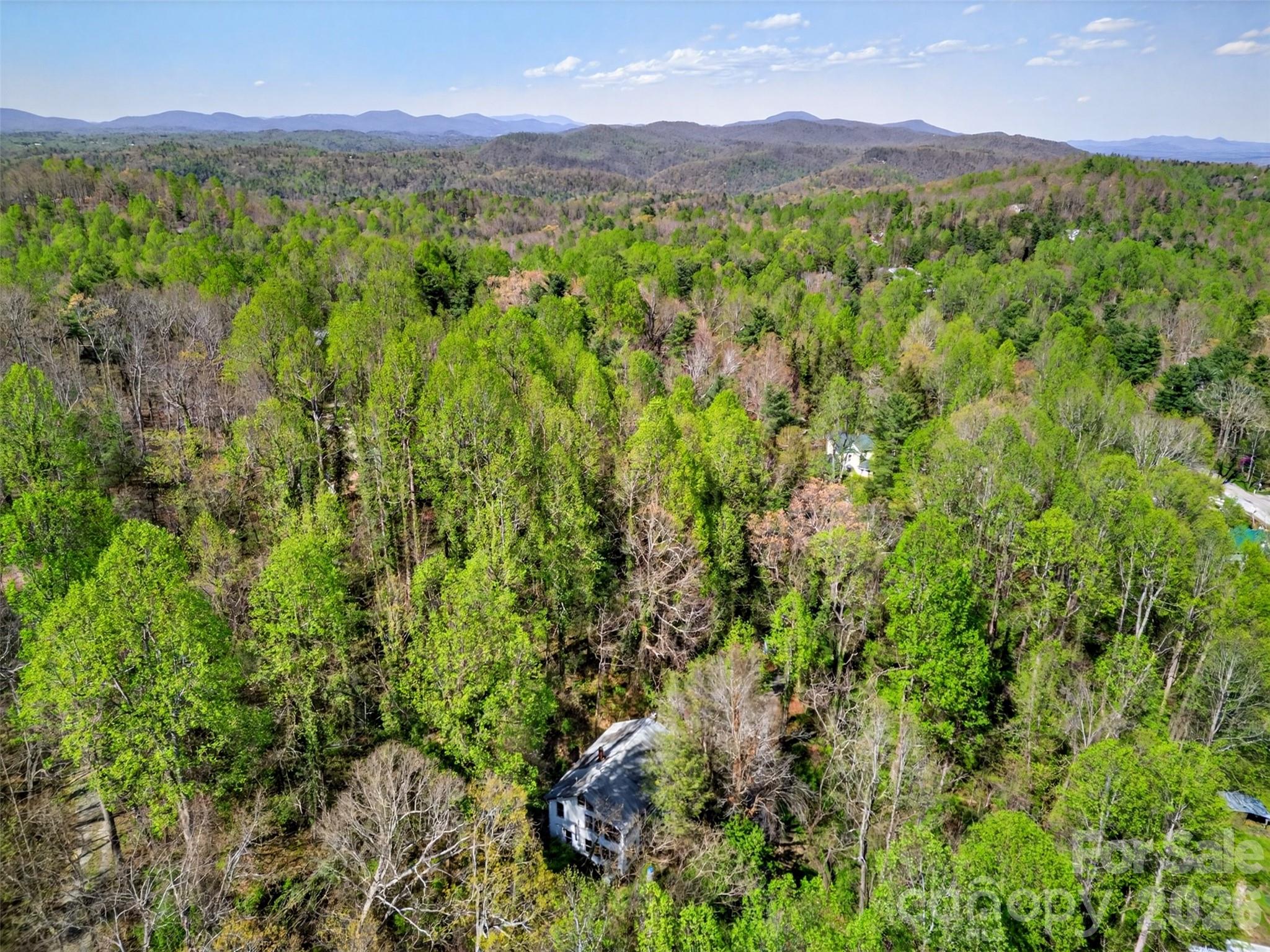 105 Poplar Street Saluda NC 28733