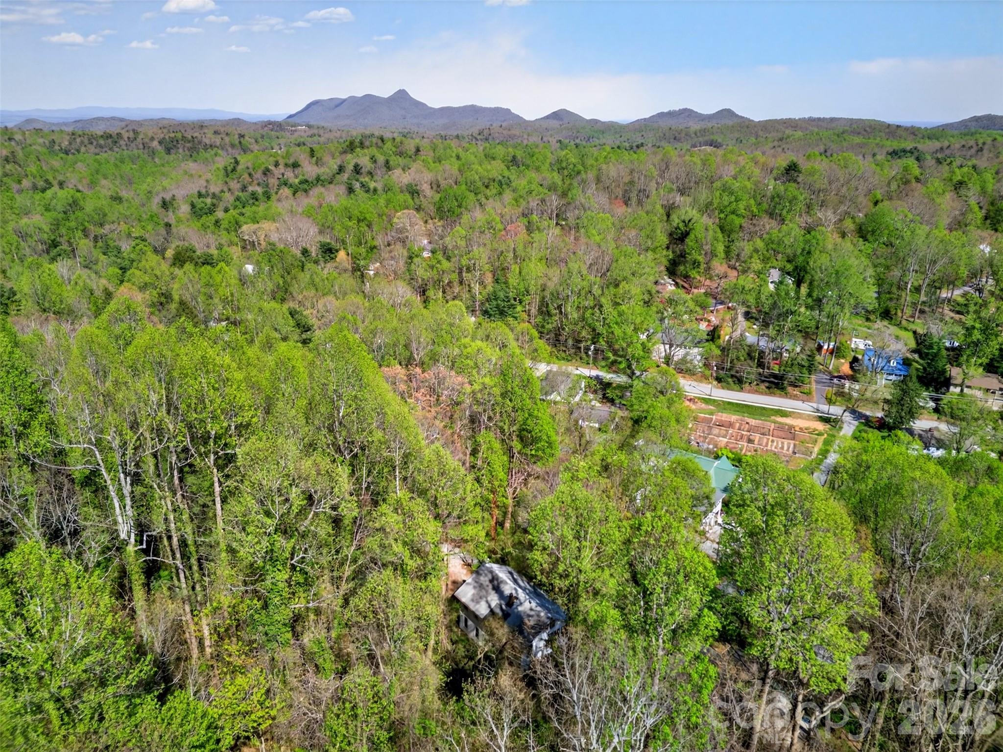 105 Poplar Street Saluda NC 28733