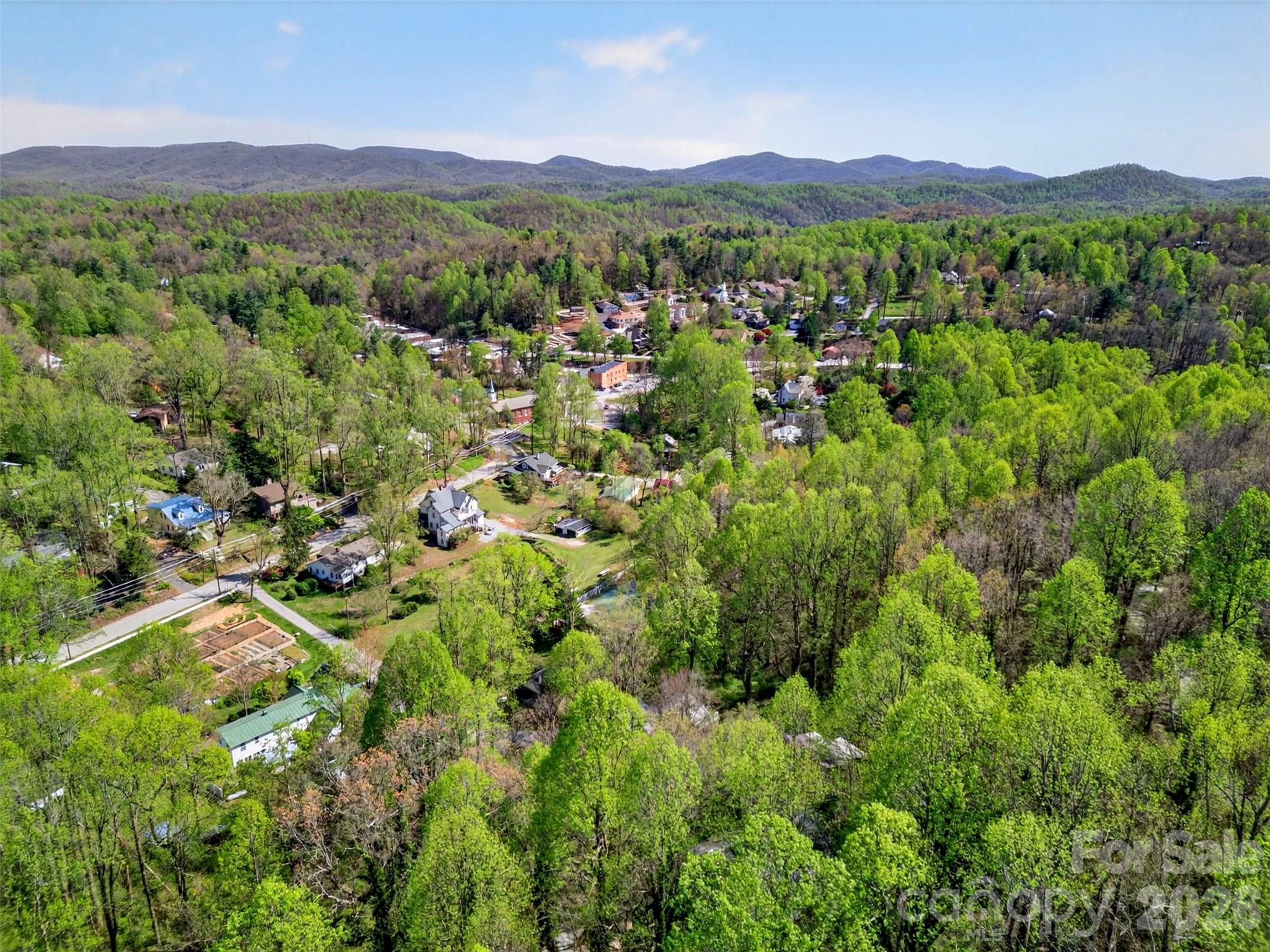 105 Poplar Street Saluda NC 28733