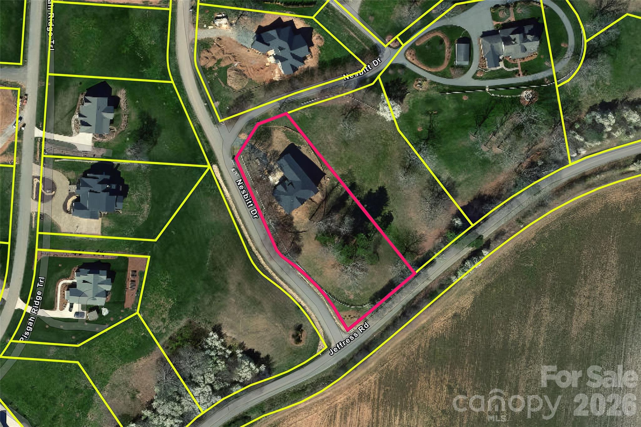 503 Nesbitt Drive Mills River NC 28759