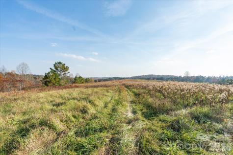 1888 Pea Ridge Road Mill Spring NC 28756
