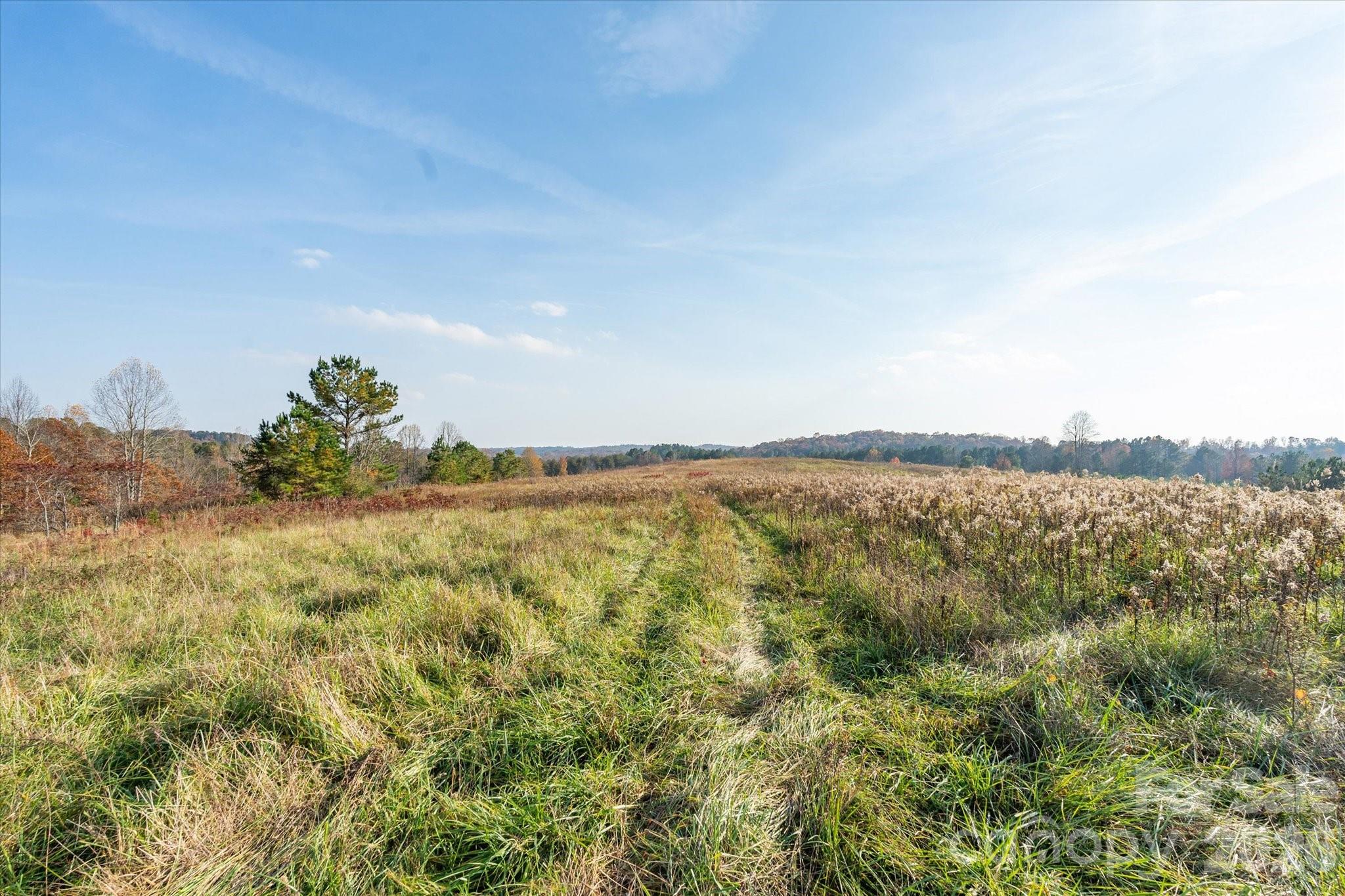 1888 Pea Ridge Road Mill Spring NC 28756