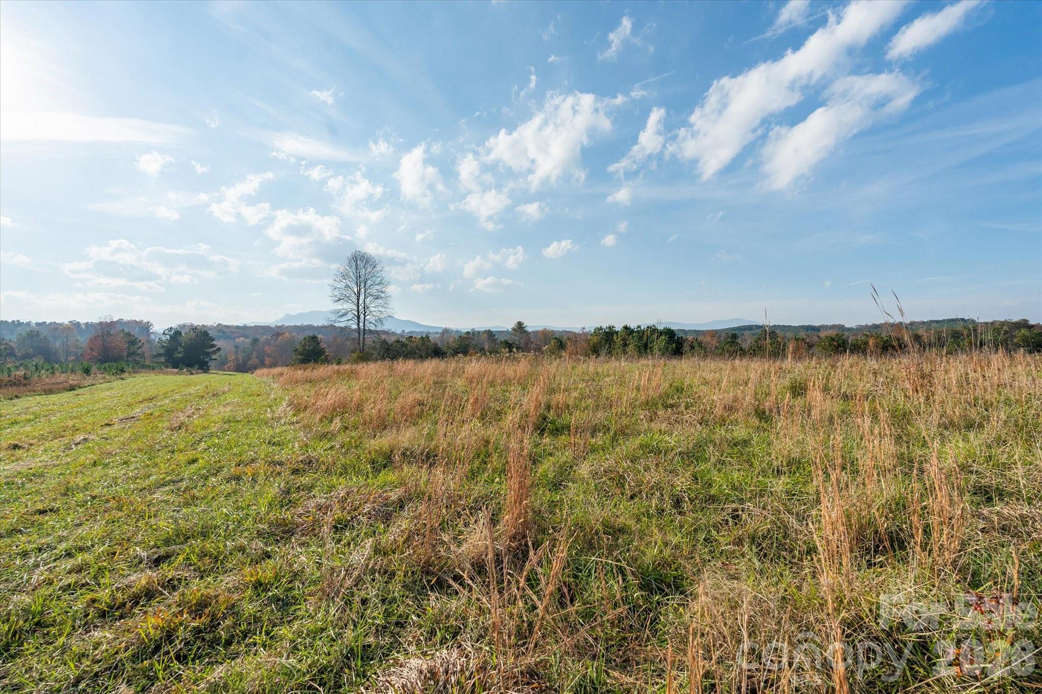 1888 Pea Ridge Road Mill Spring NC 28756
