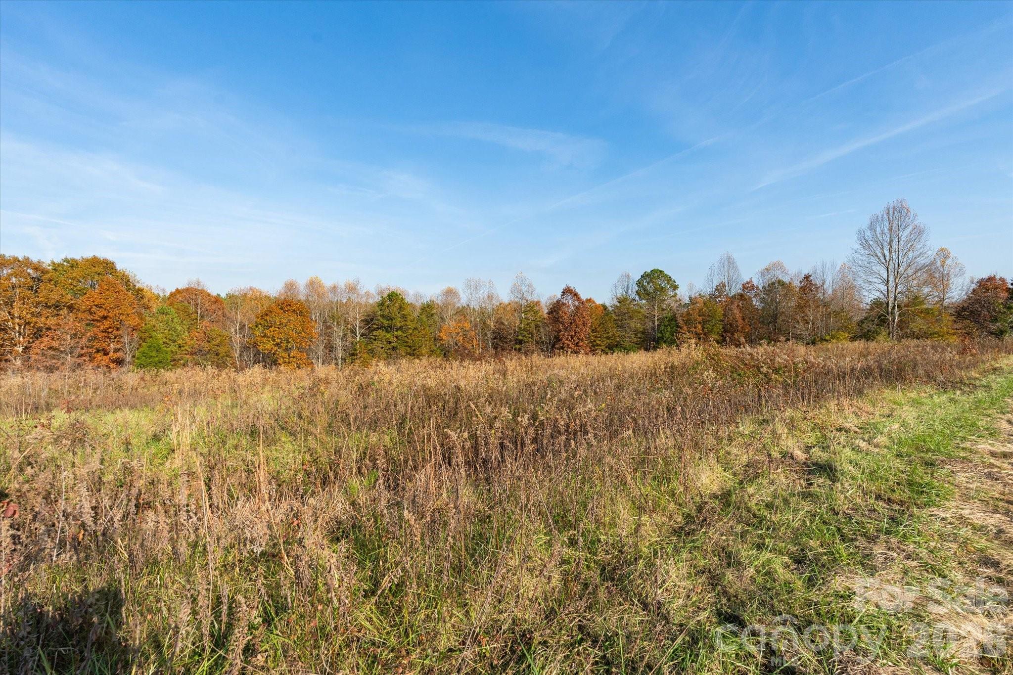 1888 Pea Ridge Road Mill Spring NC 28756