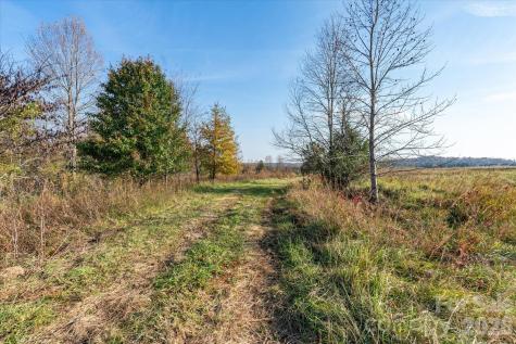 1888 Pea Ridge Road Mill Spring NC 28756