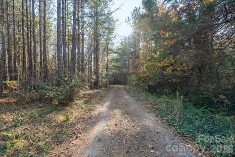1888 Pea Ridge Road Mill Spring NC 28756