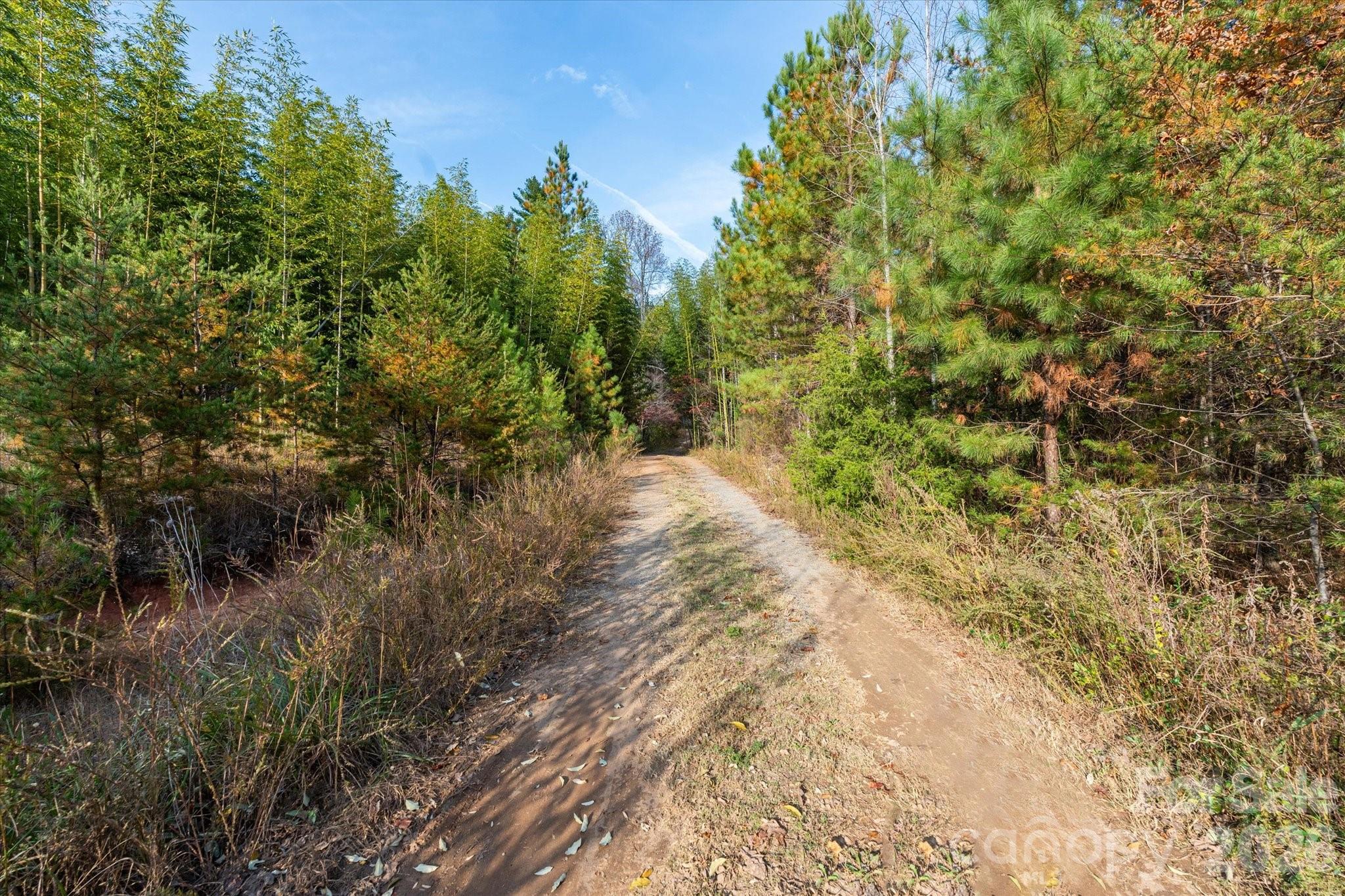 1888 Pea Ridge Road Mill Spring NC 28756