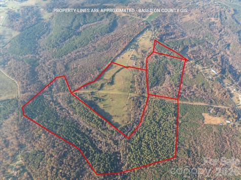1888 Pea Ridge Road Mill Spring NC 28756