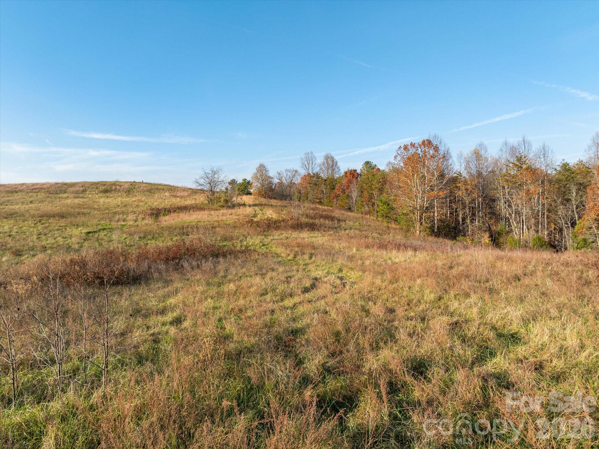 1888 Pea Ridge Road Mill Spring NC 28756