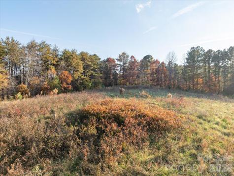 1888 Pea Ridge Road Mill Spring NC 28756