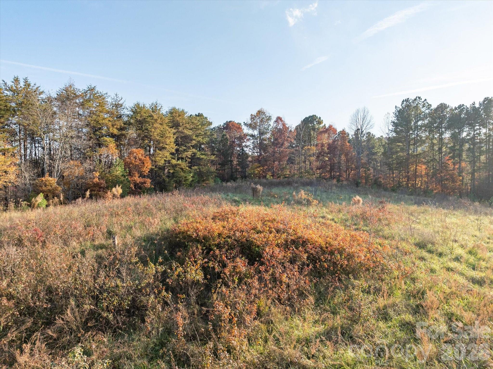 1888 Pea Ridge Road Mill Spring NC 28756