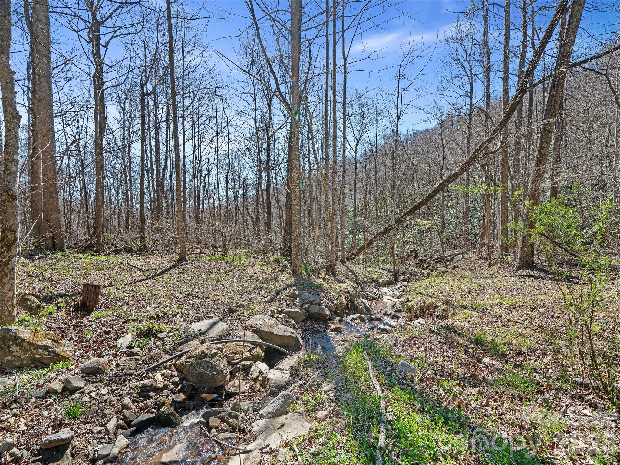 966 Waites Hollifield Road Marion NC 28752