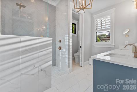 351 Delburg Street Davidson NC 28036