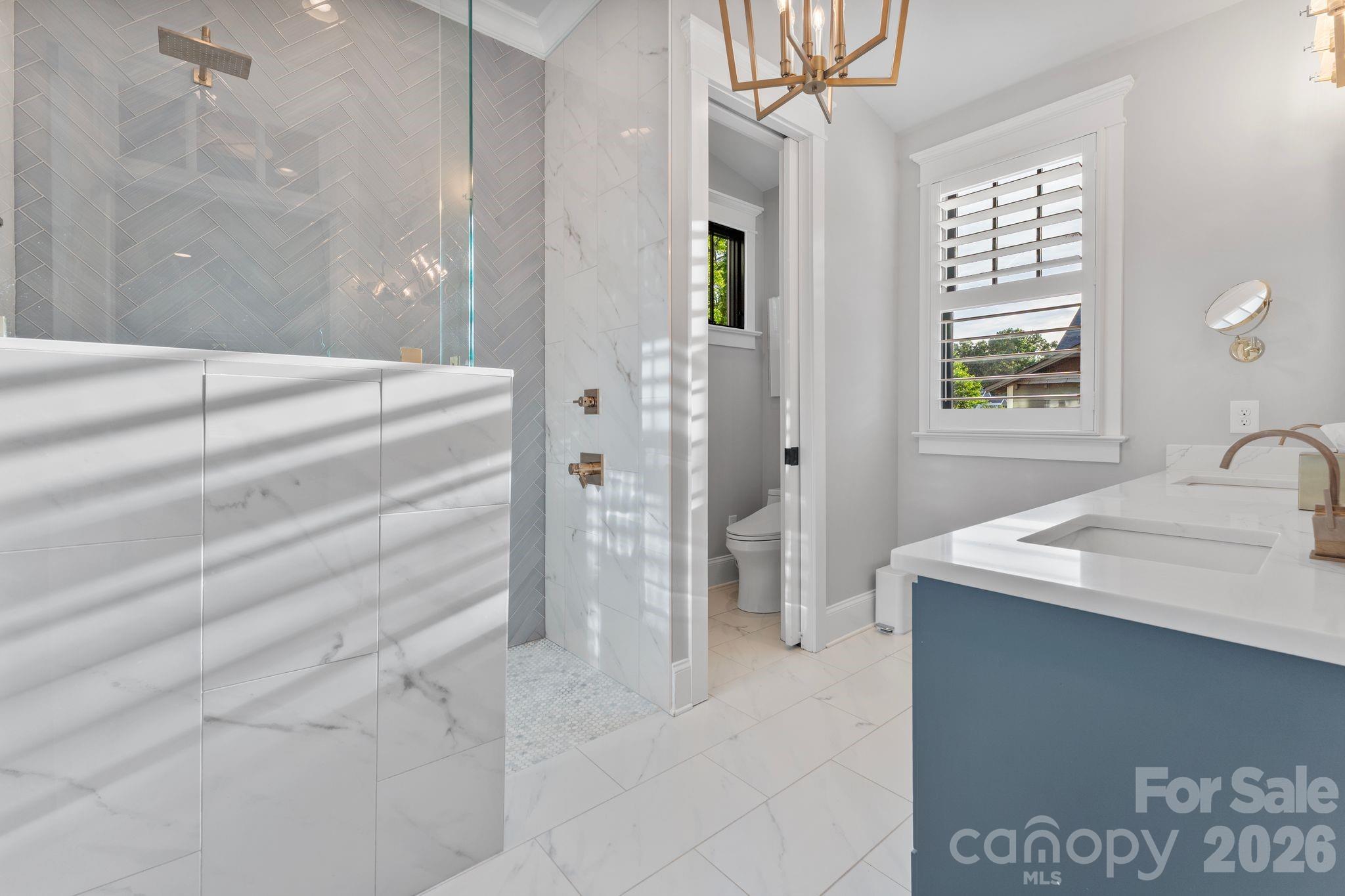 351 Delburg Street Davidson NC 28036