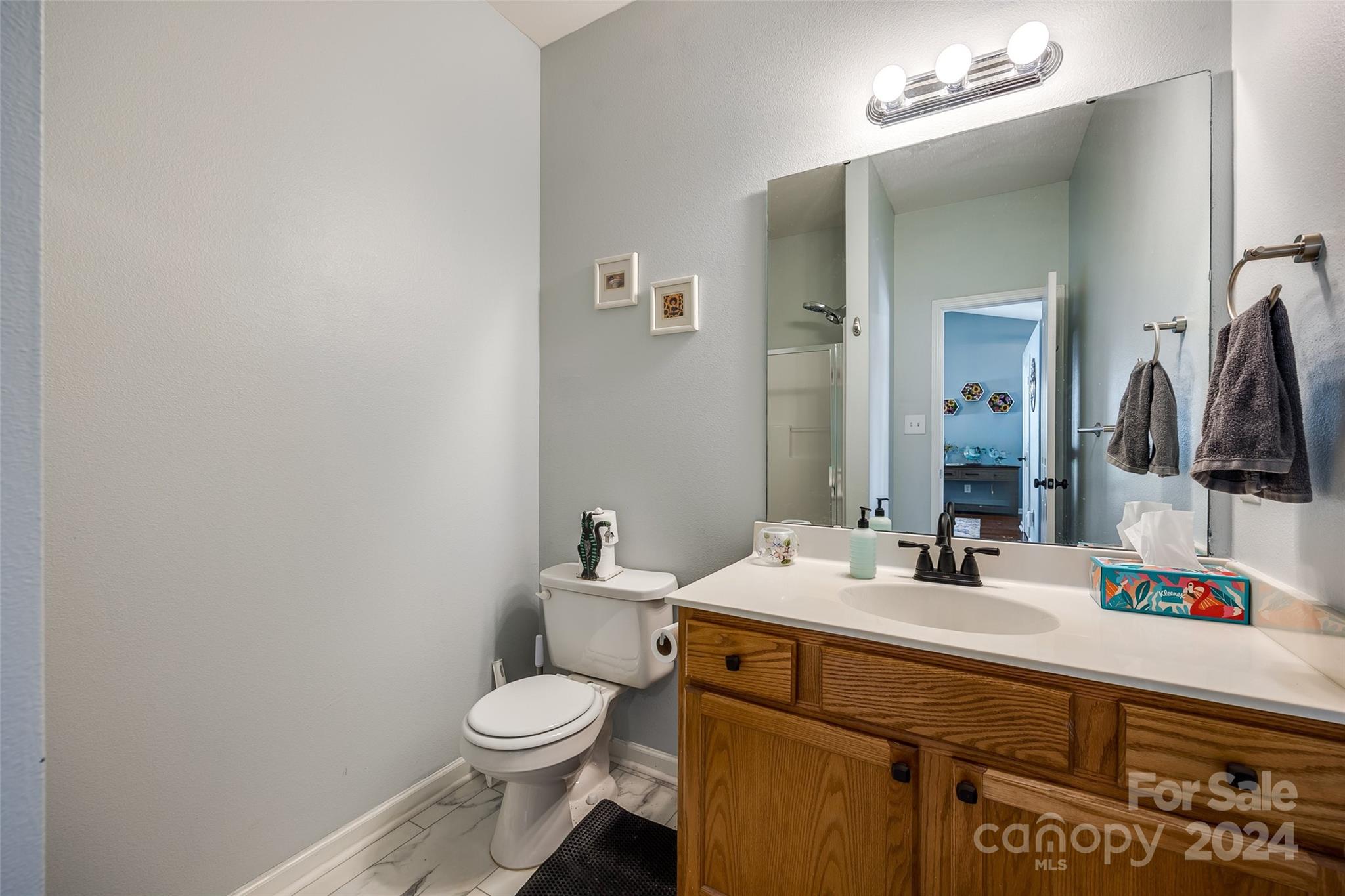 11137 Lions Mane Street Charlotte NC 28273