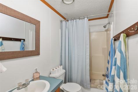 611 Turkey Creek Terrace Leicester NC 28748