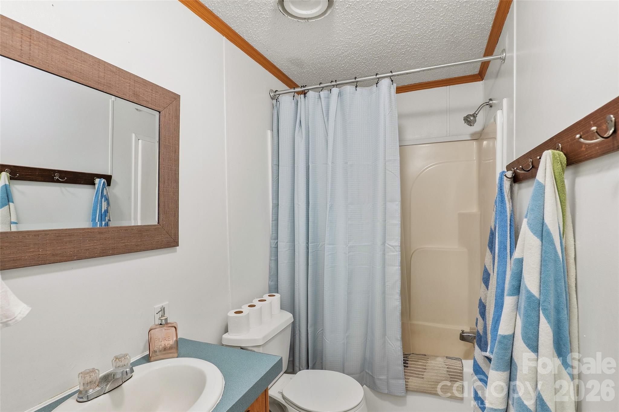 611 Turkey Creek Terrace Leicester NC 28748
