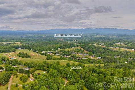 611 Turkey Creek Terrace Leicester NC 28748