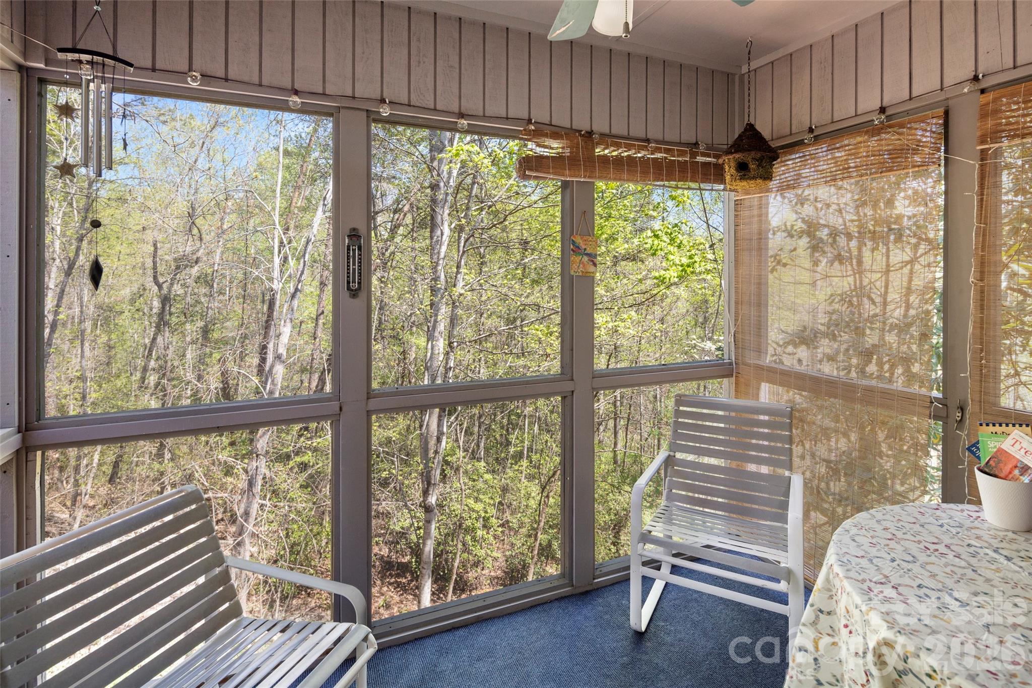 119 Rome Court Lake Lure NC 28746