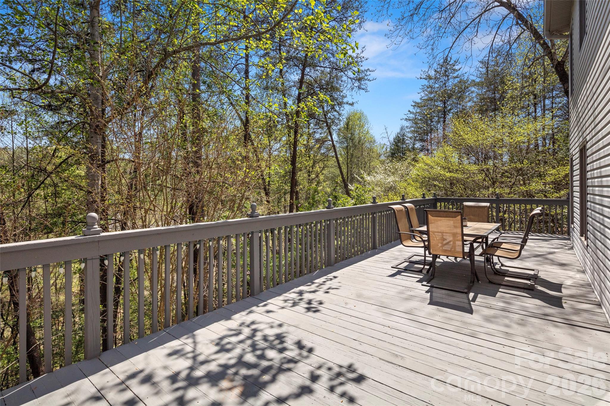 119 Rome Court Lake Lure NC 28746