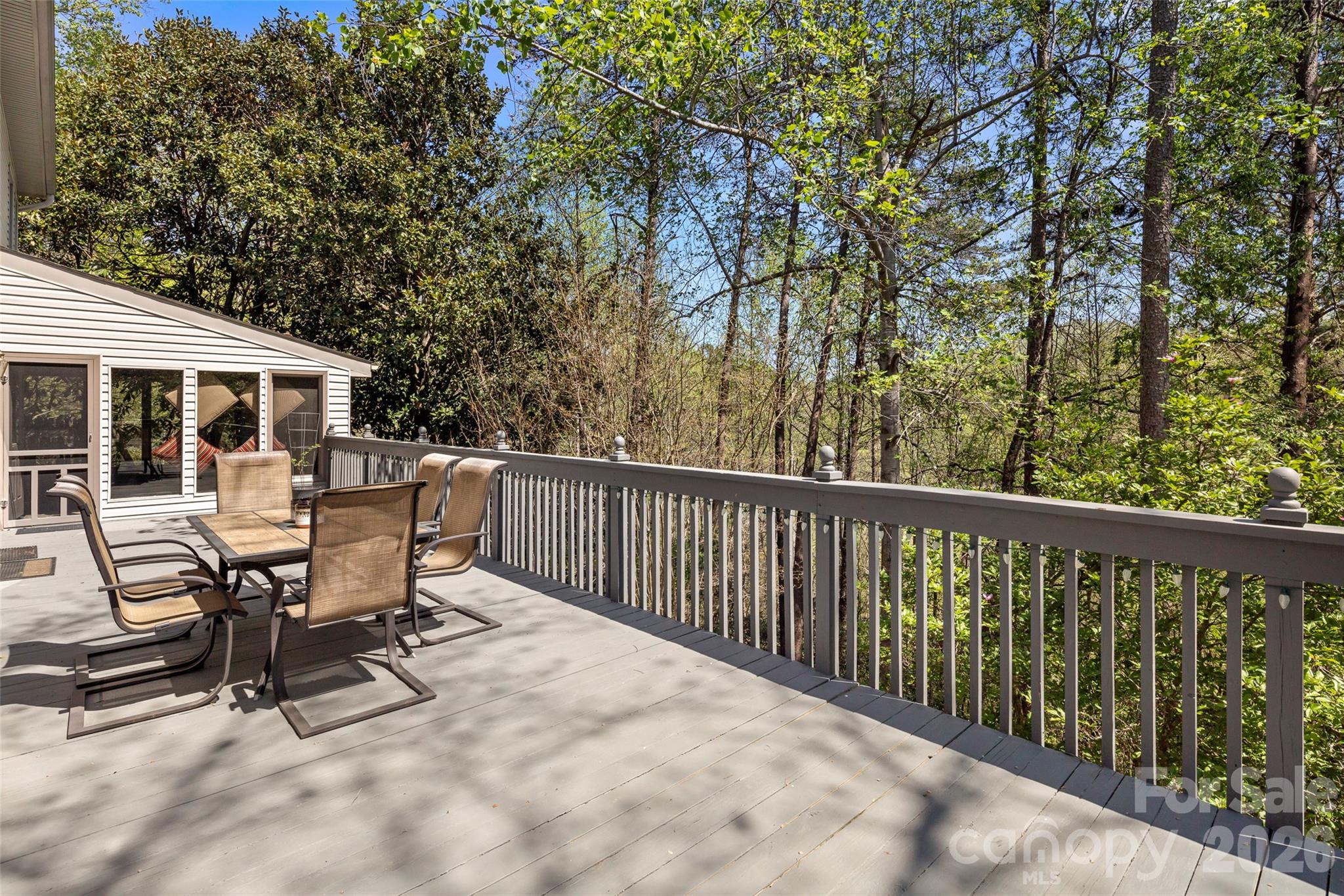 119 Rome Court Lake Lure NC 28746