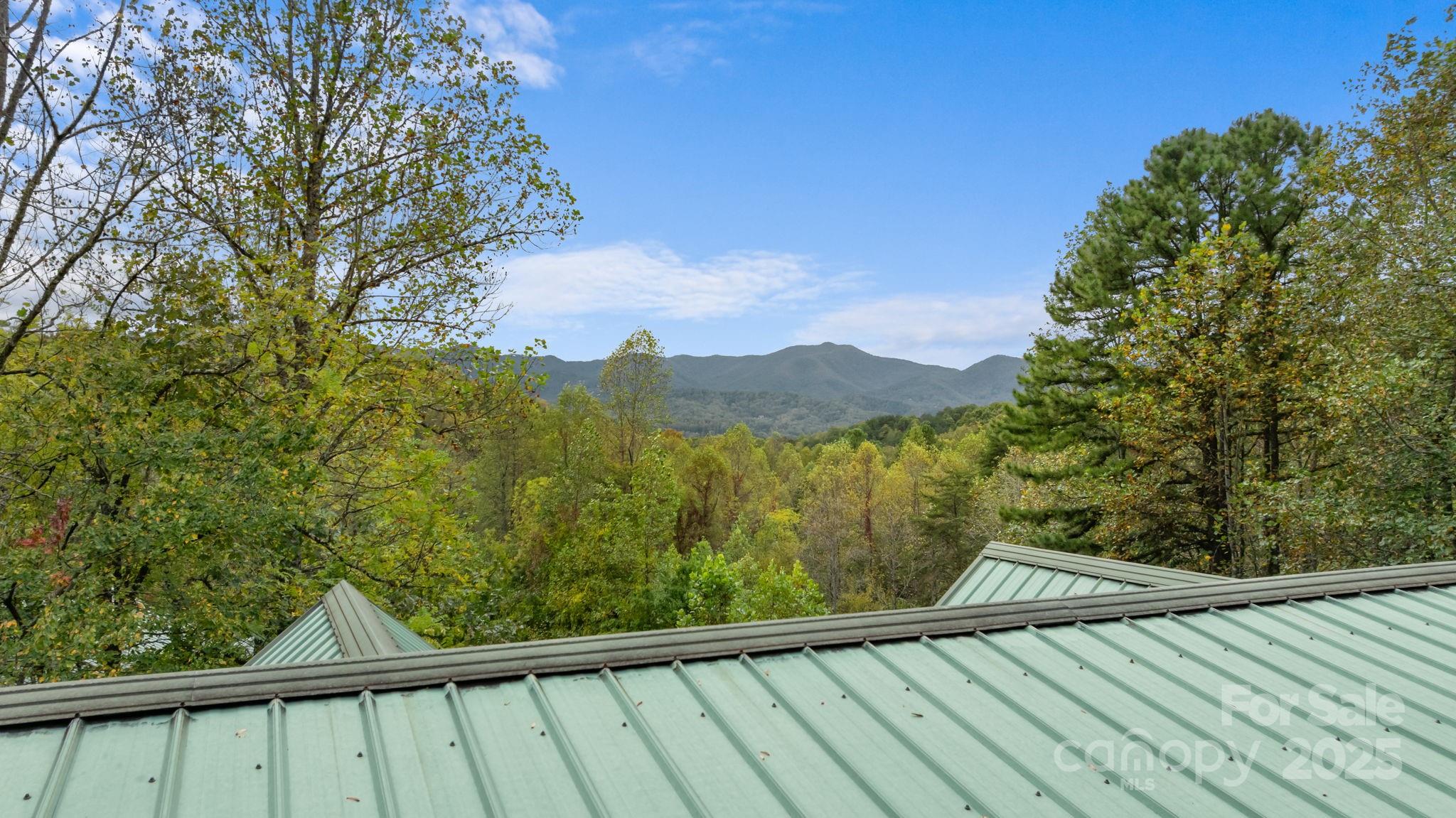 80 Slow Lane Whittier NC 28789