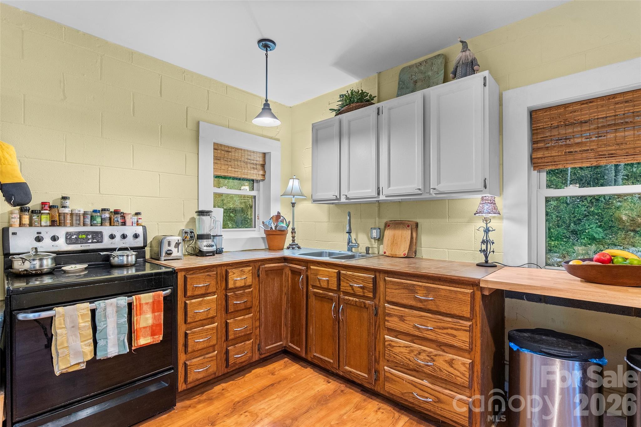 1087 N Turkey Creek Road Leicester NC 28748