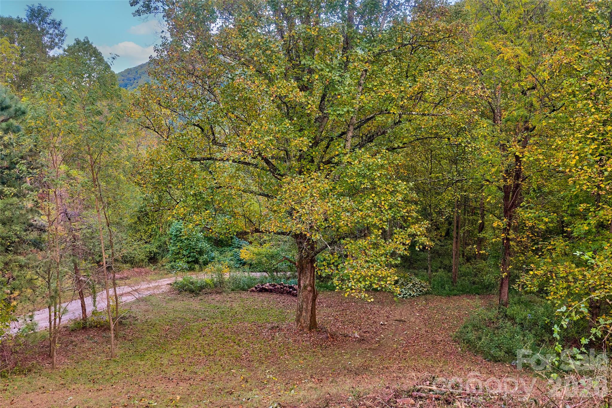 1087 N Turkey Creek Road Leicester NC 28748