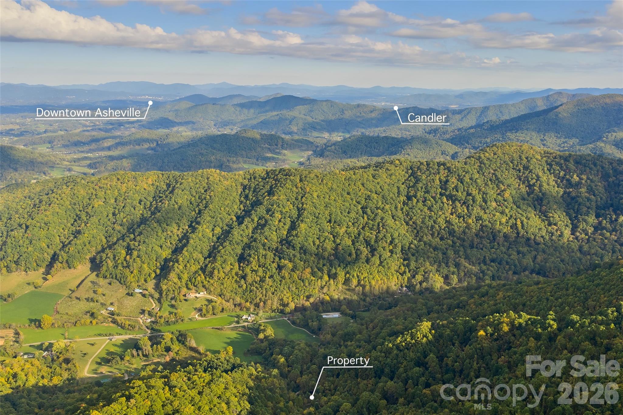 1087 N Turkey Creek Road Leicester NC 28748