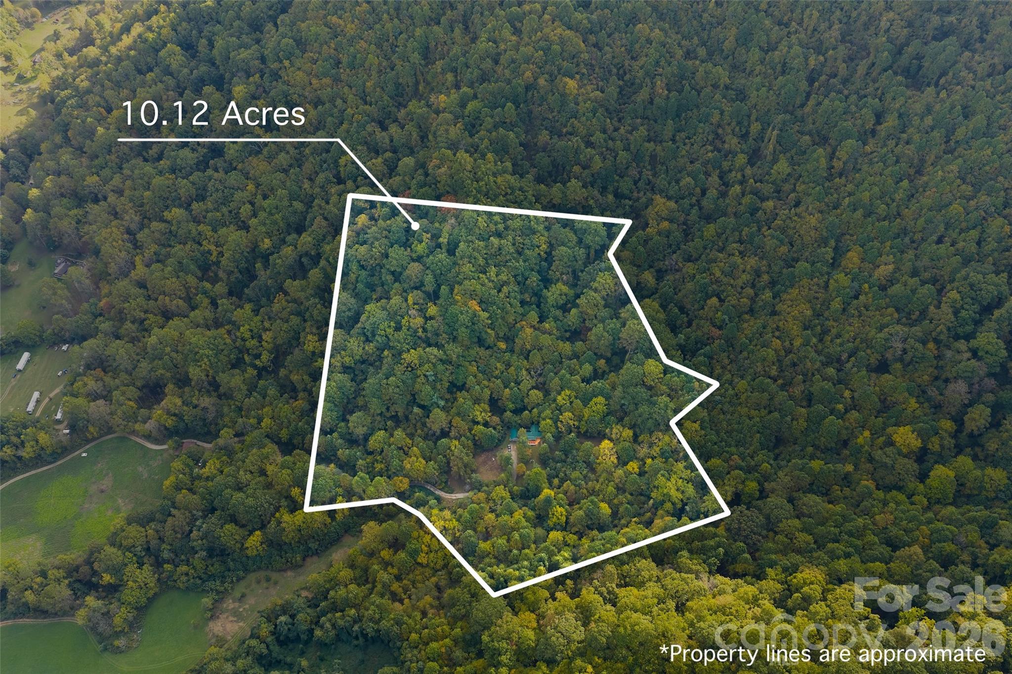 1087 N Turkey Creek Road Leicester NC 28748