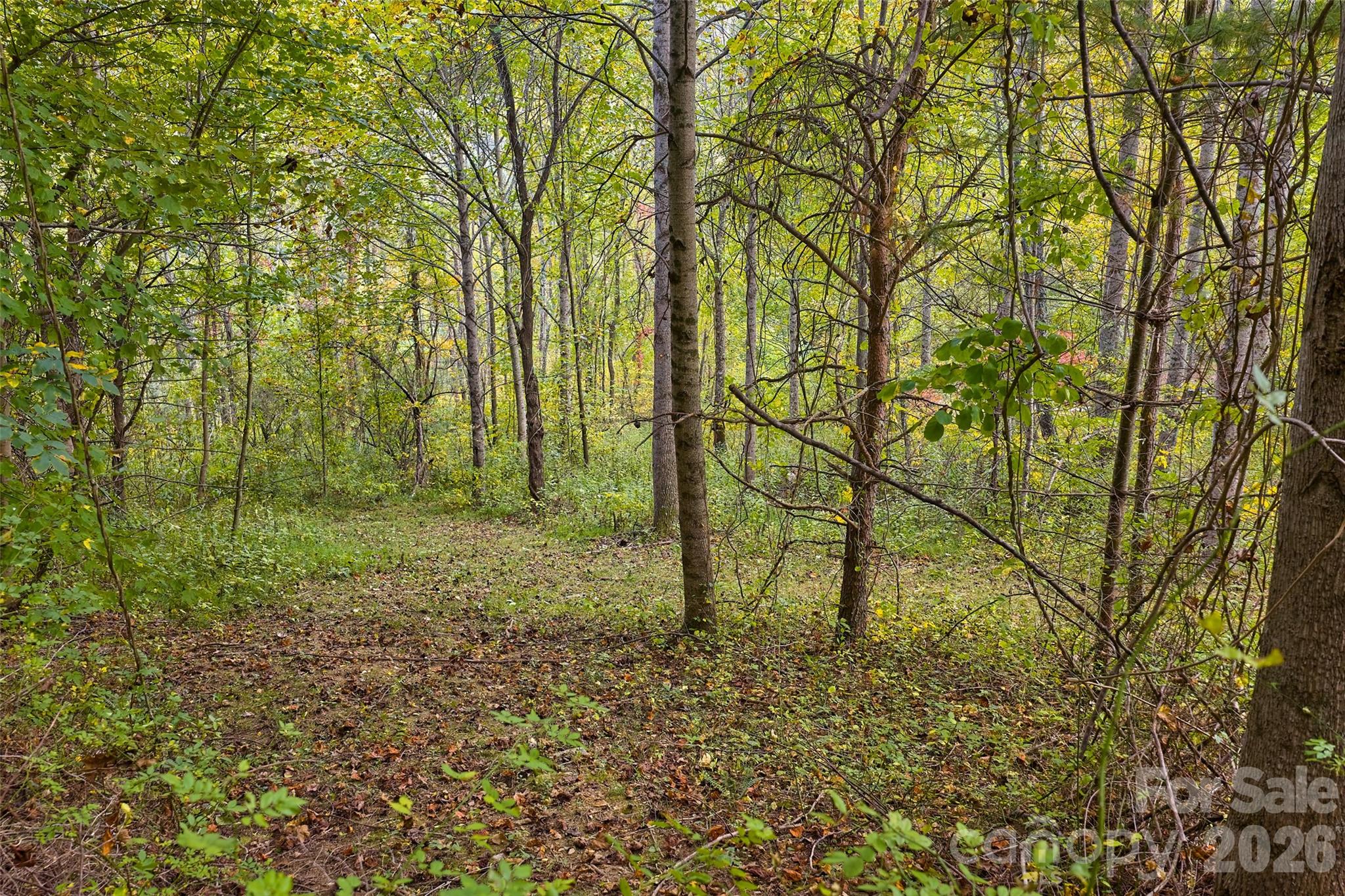 1087 N Turkey Creek Road Leicester NC 28748