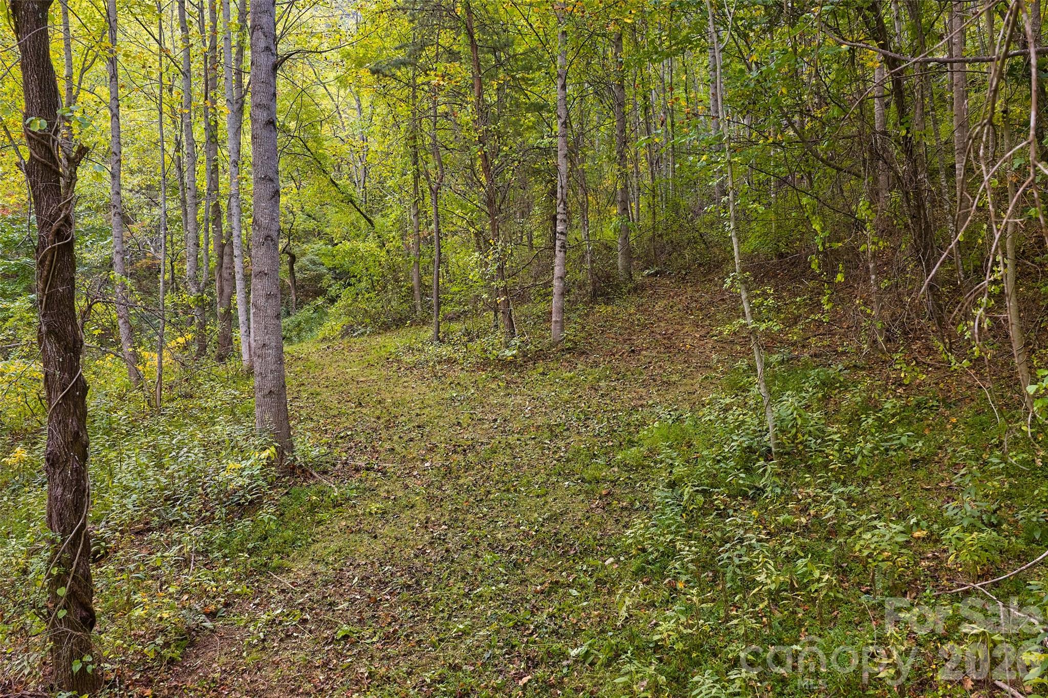 1087 N Turkey Creek Road Leicester NC 28748