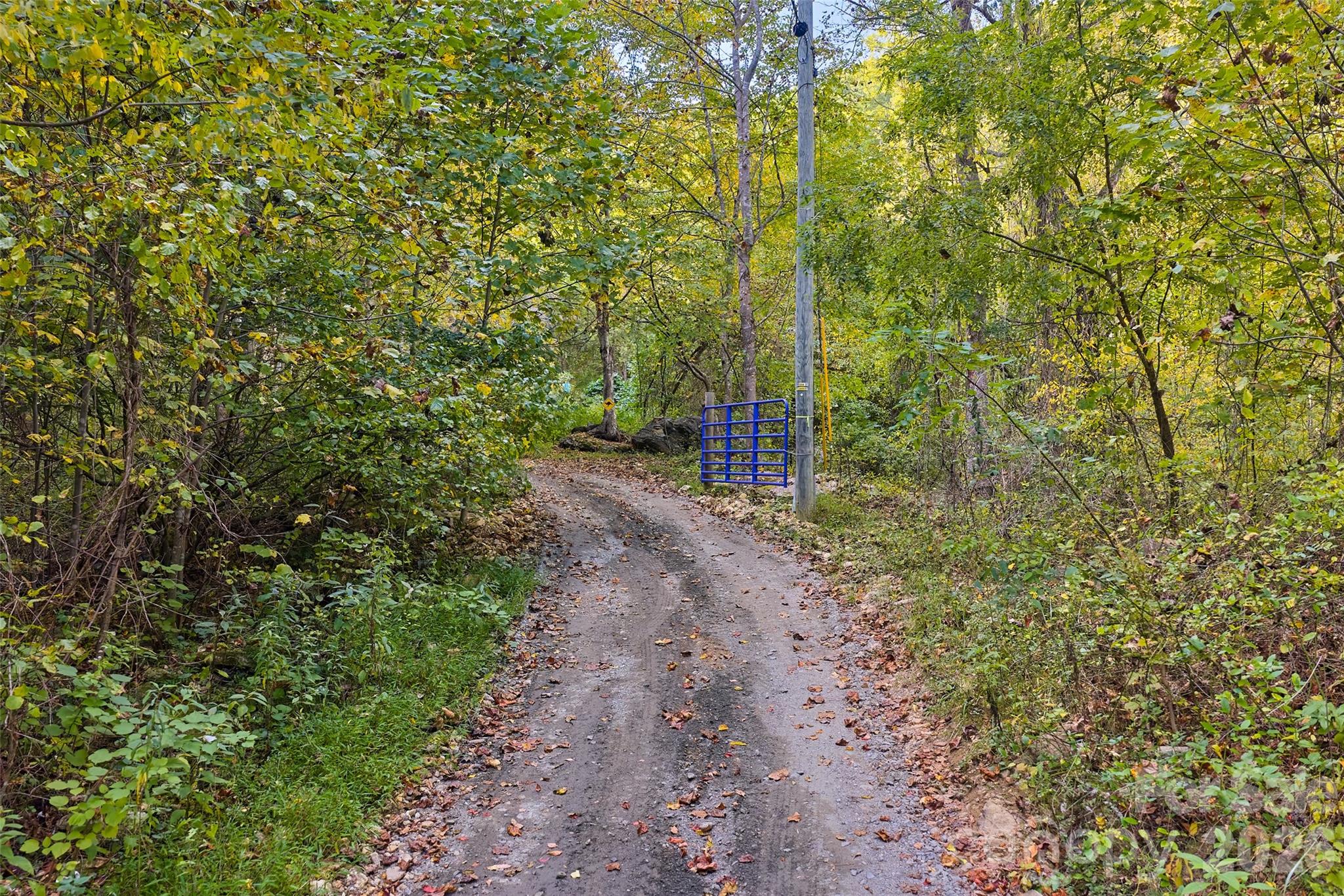 1087 N Turkey Creek Road Leicester NC 28748