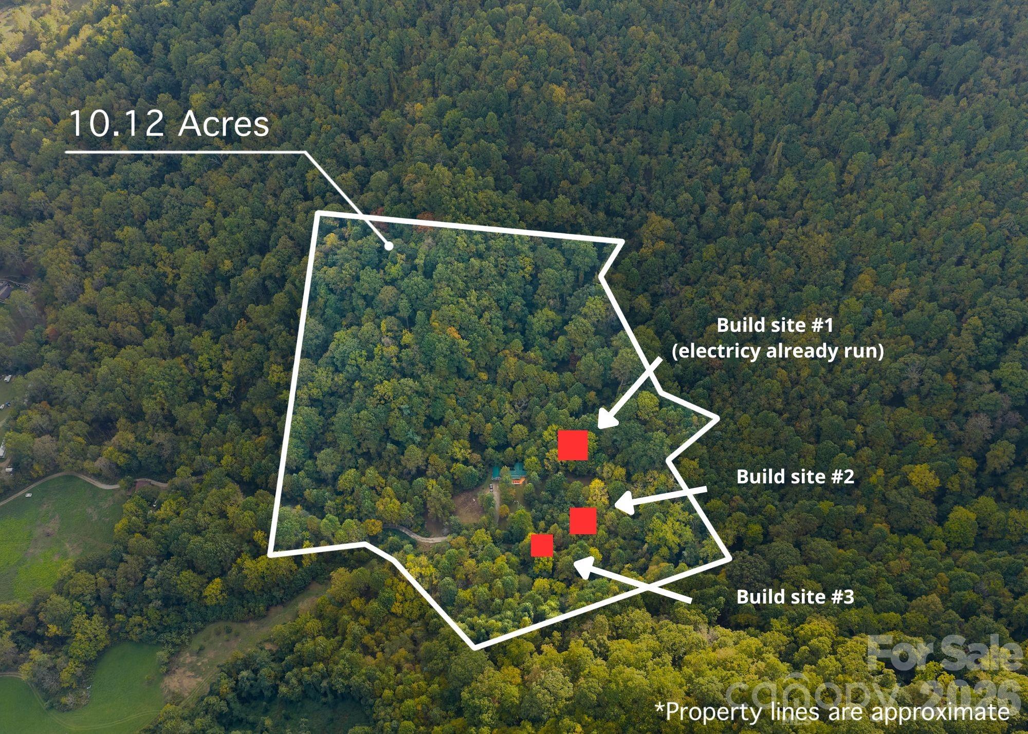 1087 N Turkey Creek Road Leicester NC 28748