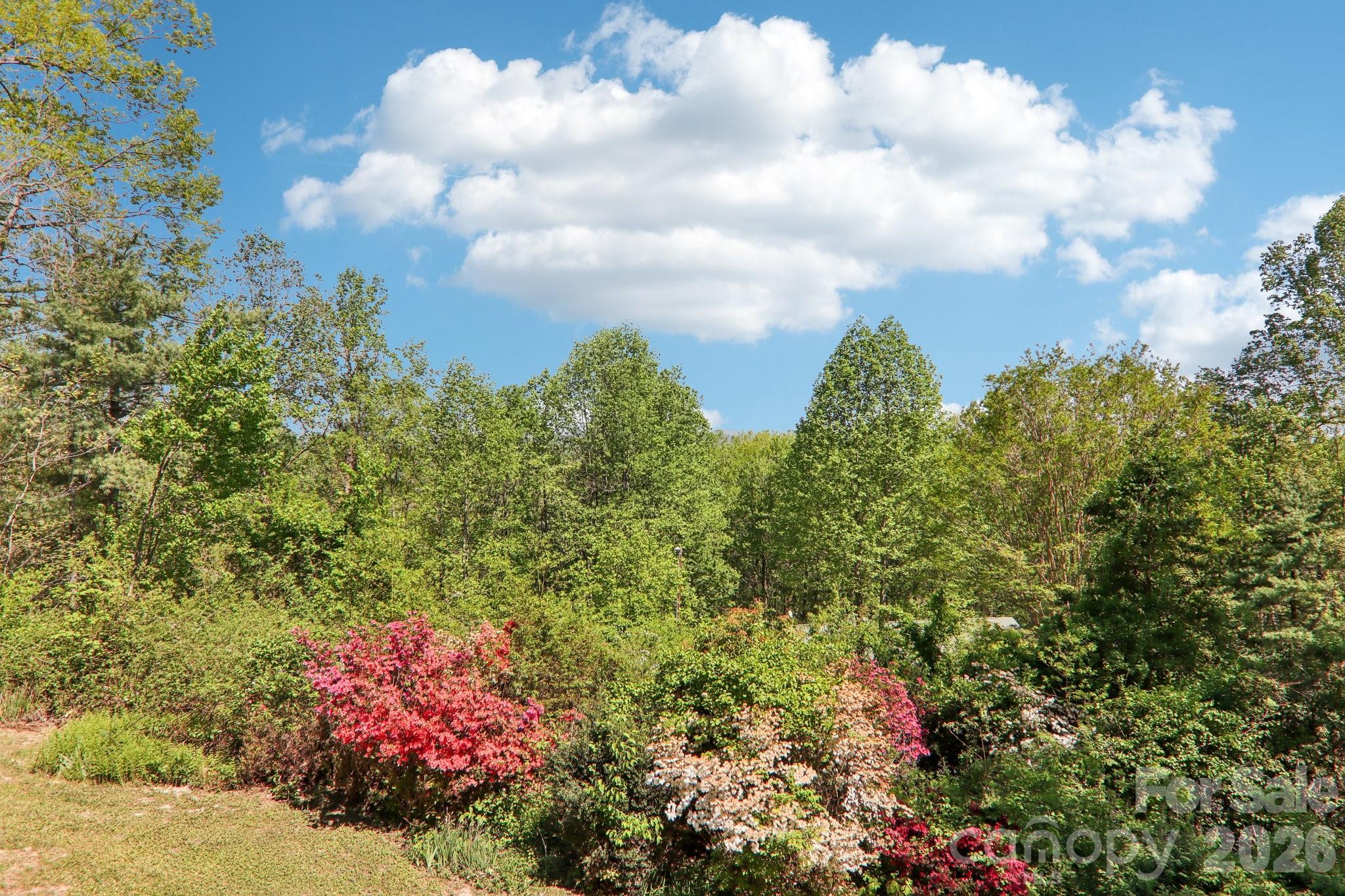 817 Greenwood Drive Hendersonville NC 28791